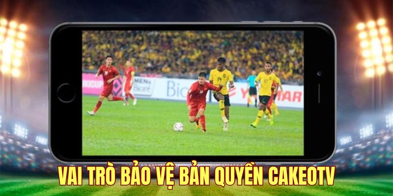 Bảo vệ bàn quyền Cakeo tv và tầm quan trọng